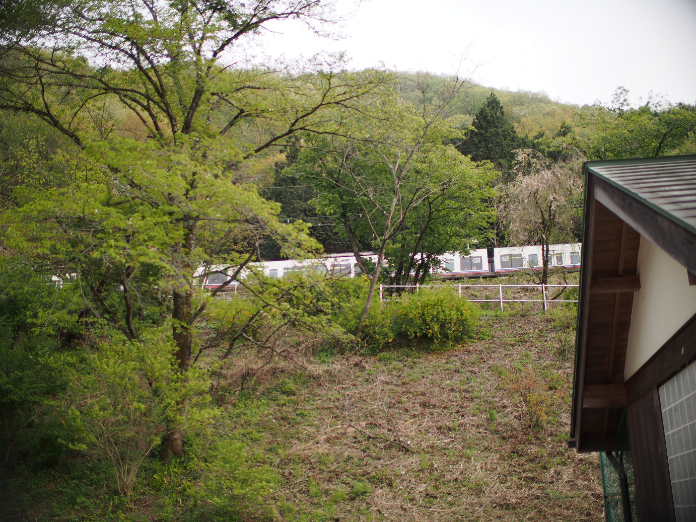P4230330.jpg