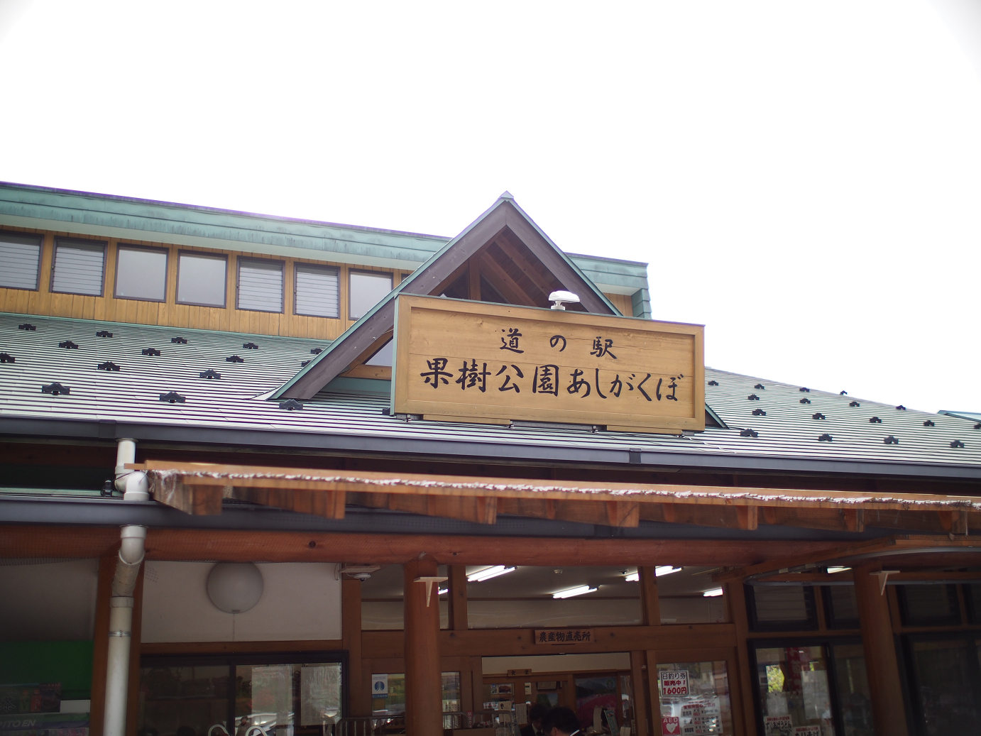 P4230331.jpg