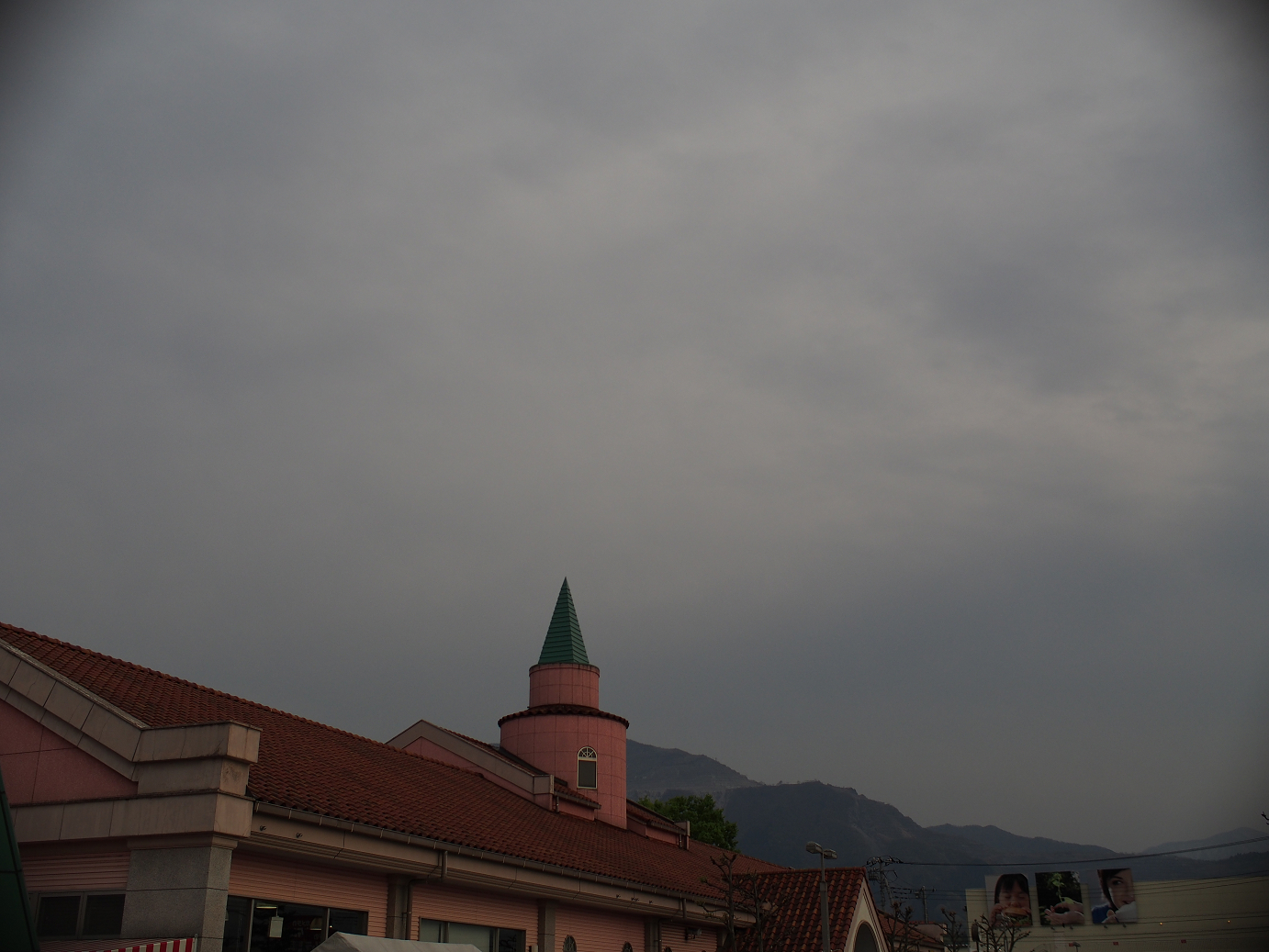 P4230352.jpg