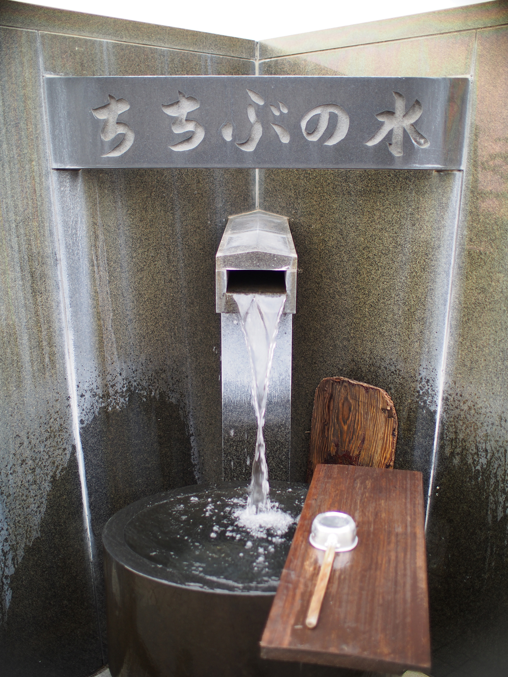 P4230355.jpg