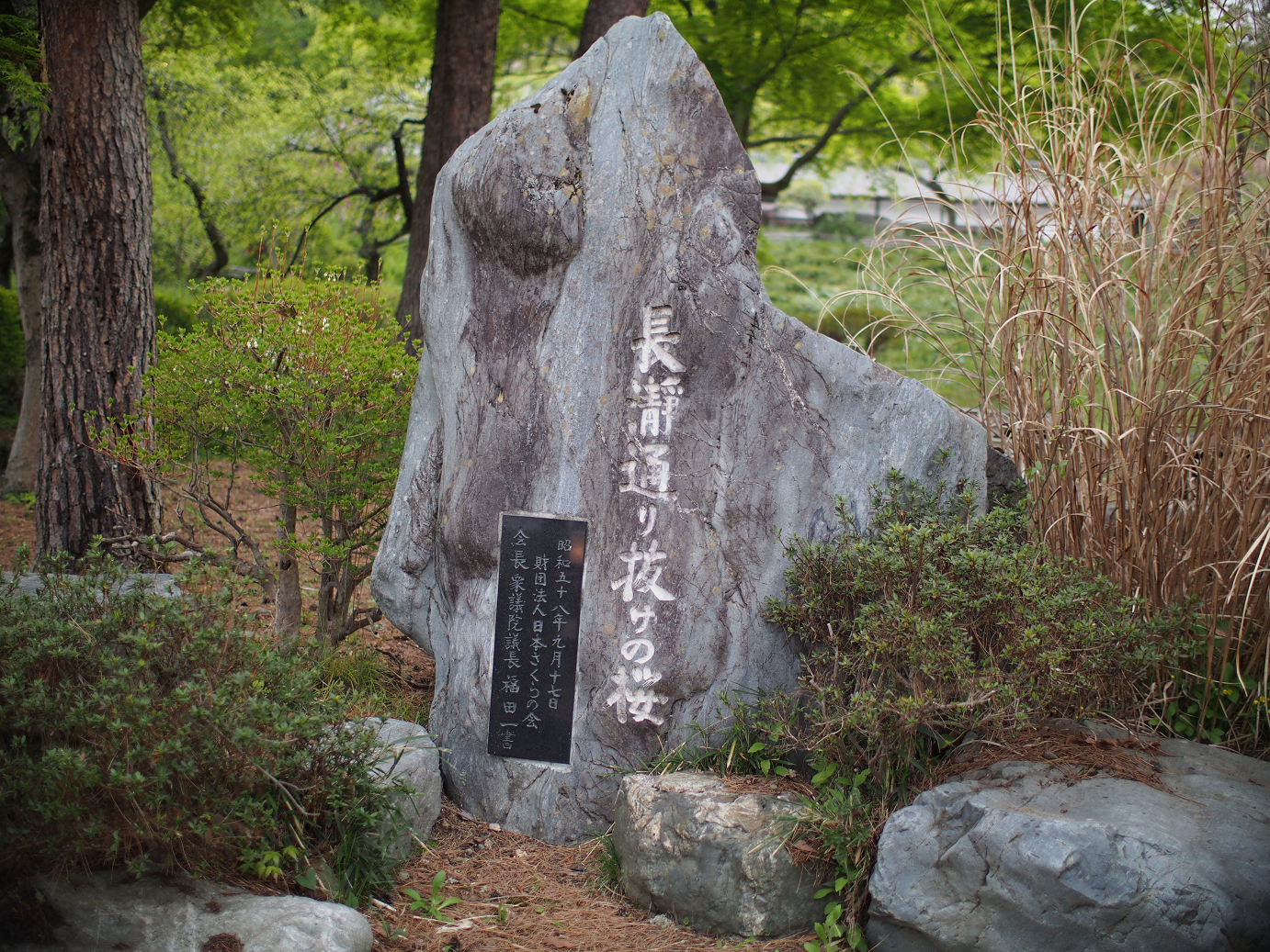 P4230358.jpg