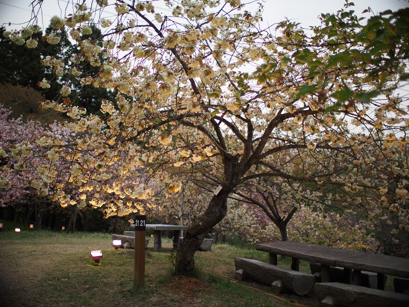 P4230420.jpg