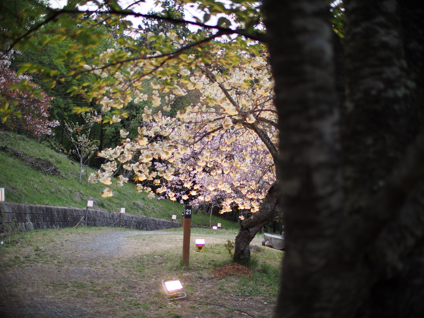 P4230421.jpg