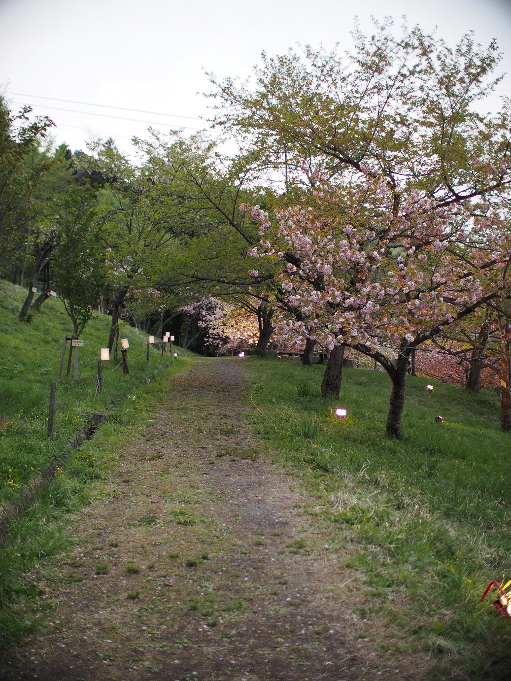 P4230437.jpg
