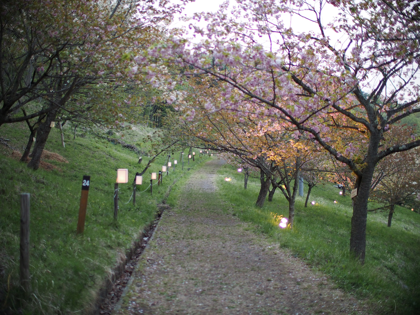 P4230443.jpg