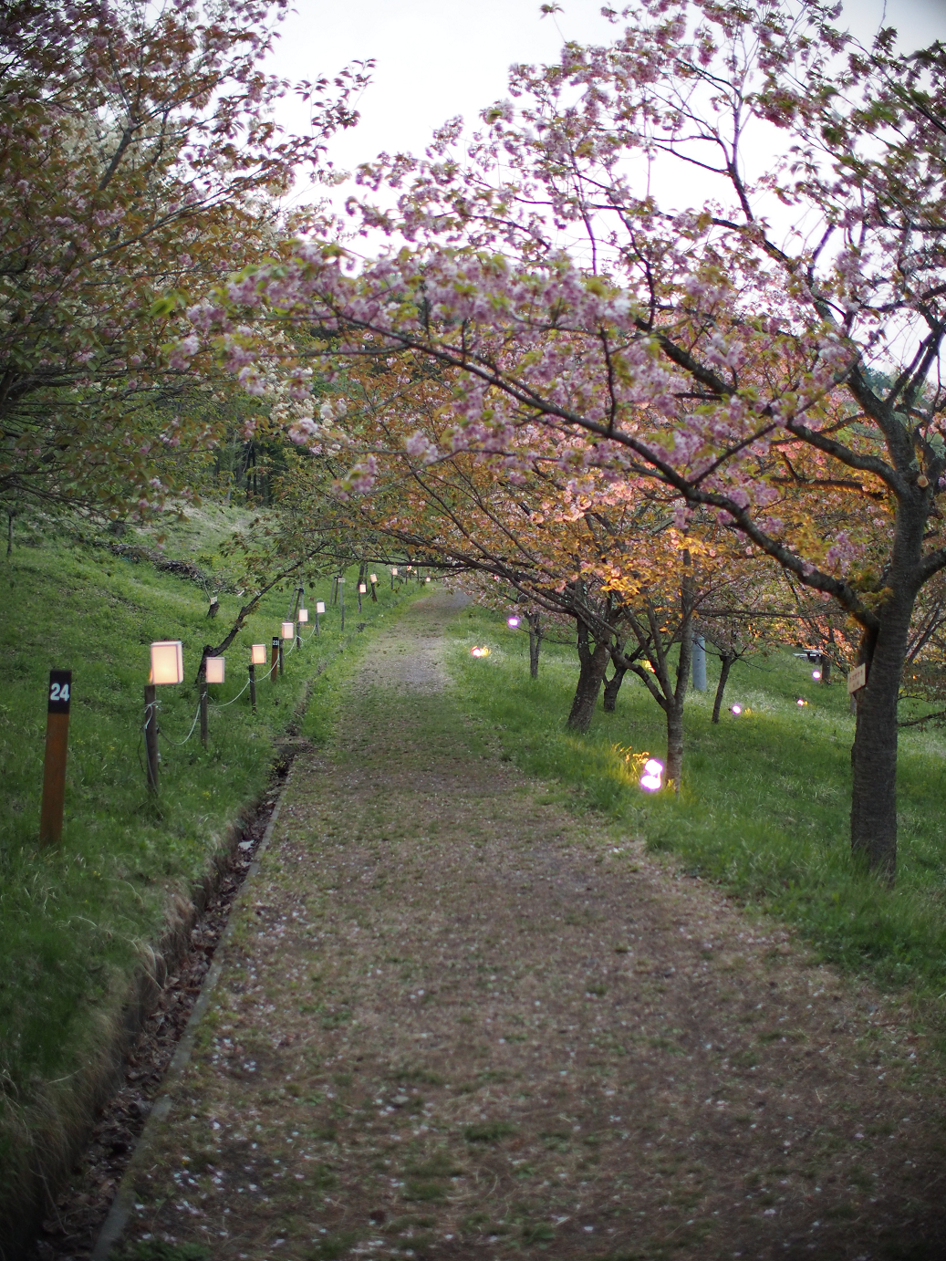 P4230444.jpg