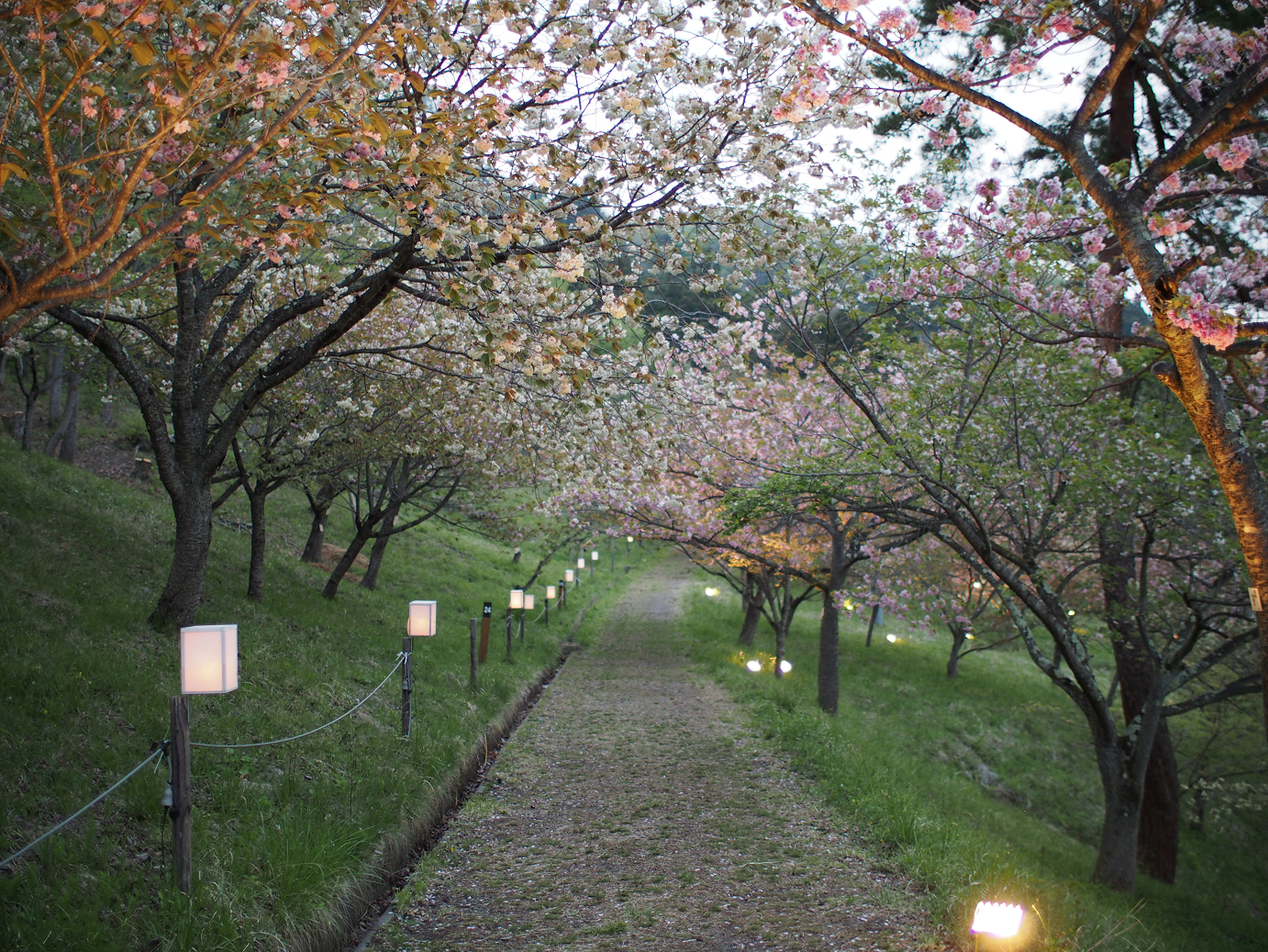 P4230449.jpg
