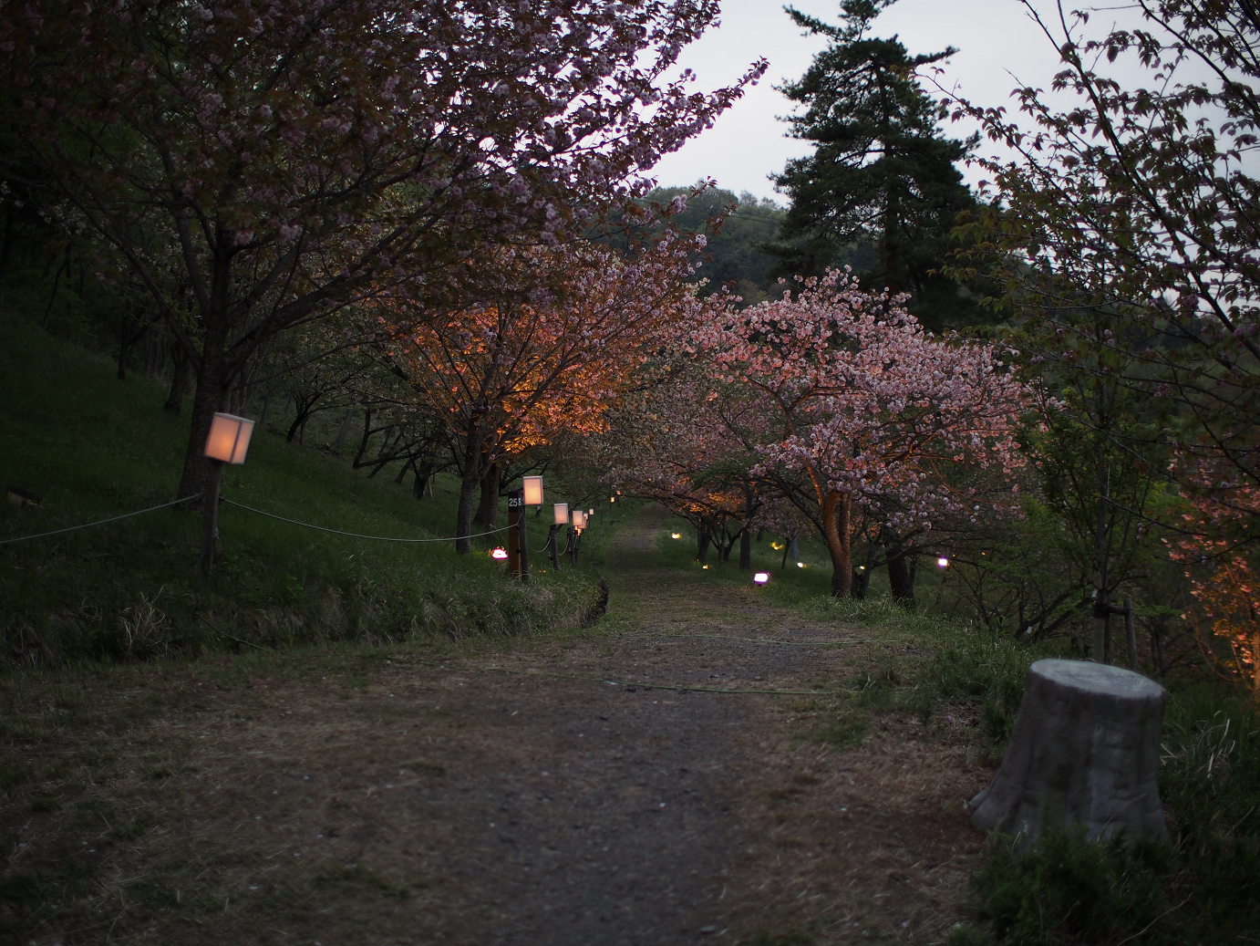 P4230451.jpg