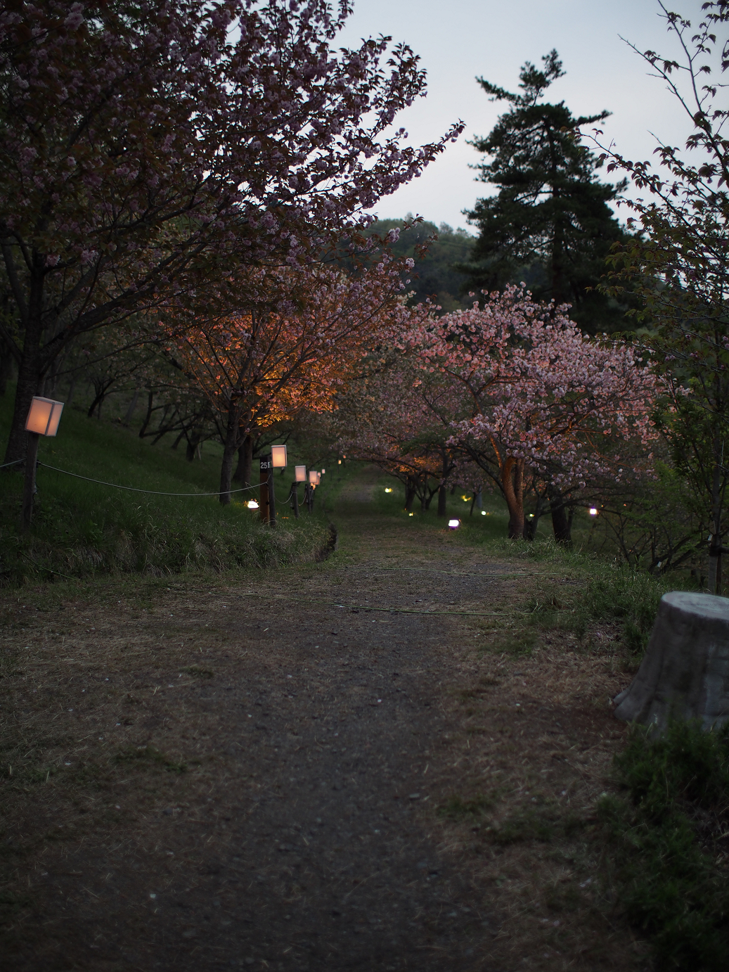 P4230452.jpg