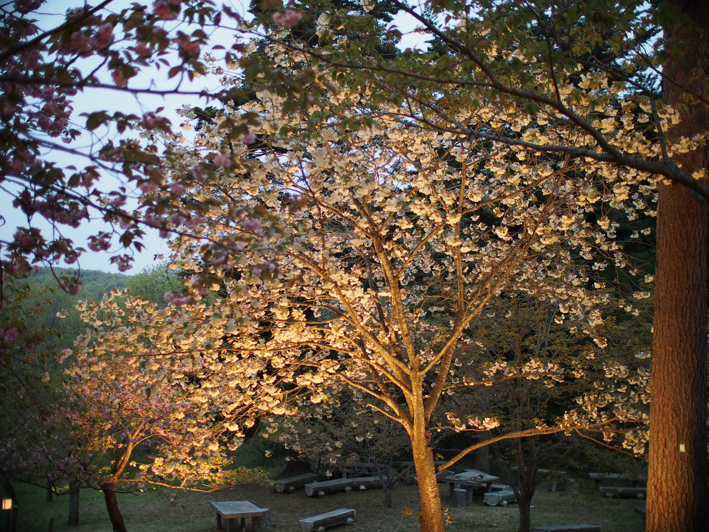 P4230472.jpg