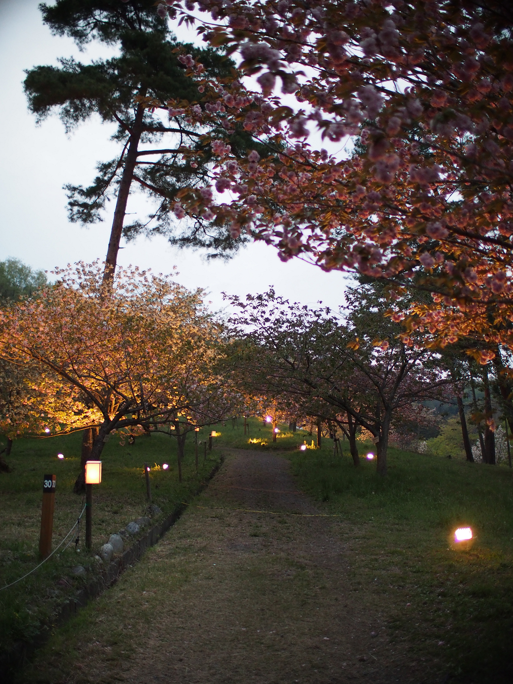 P4230481.jpg