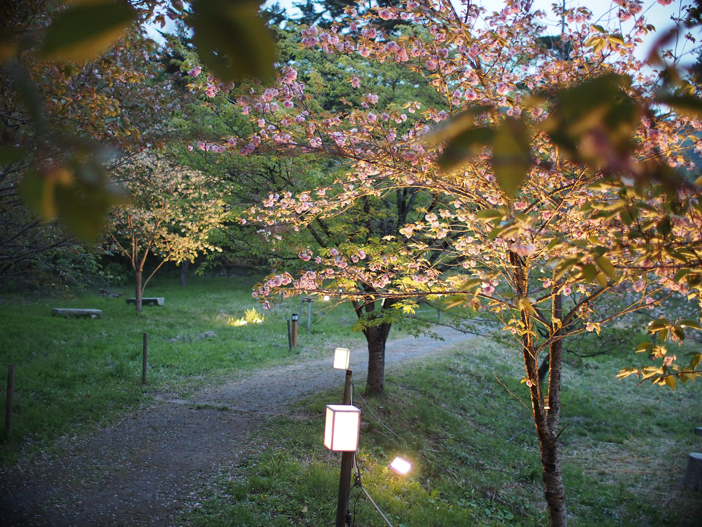 P4230487.jpg