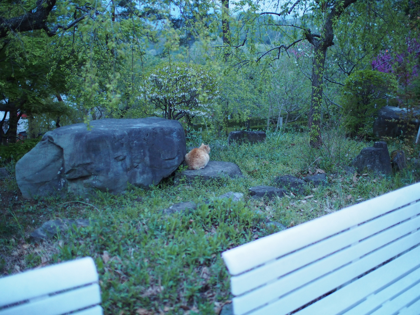 P4230525.jpg