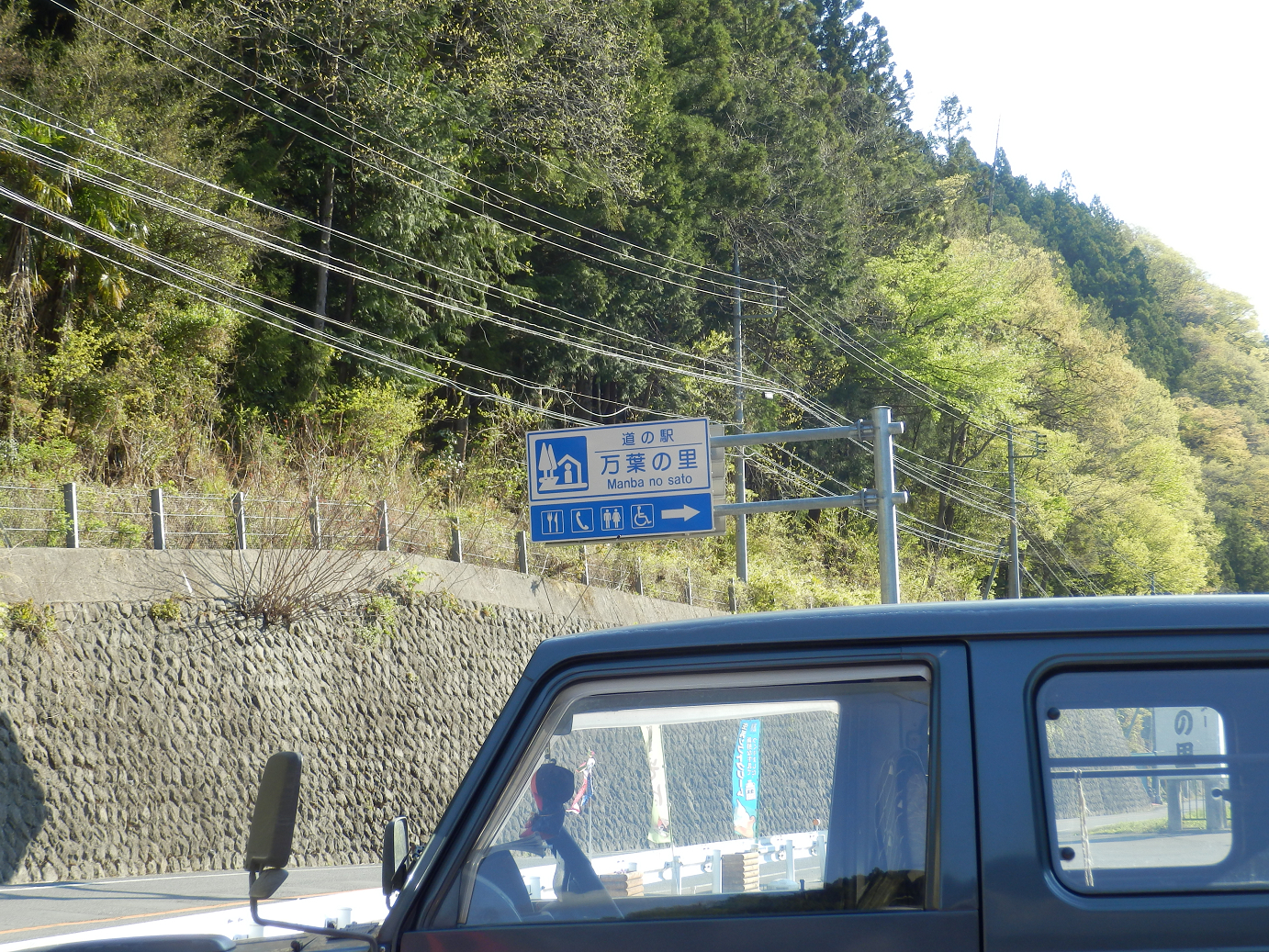 P4278003.jpg