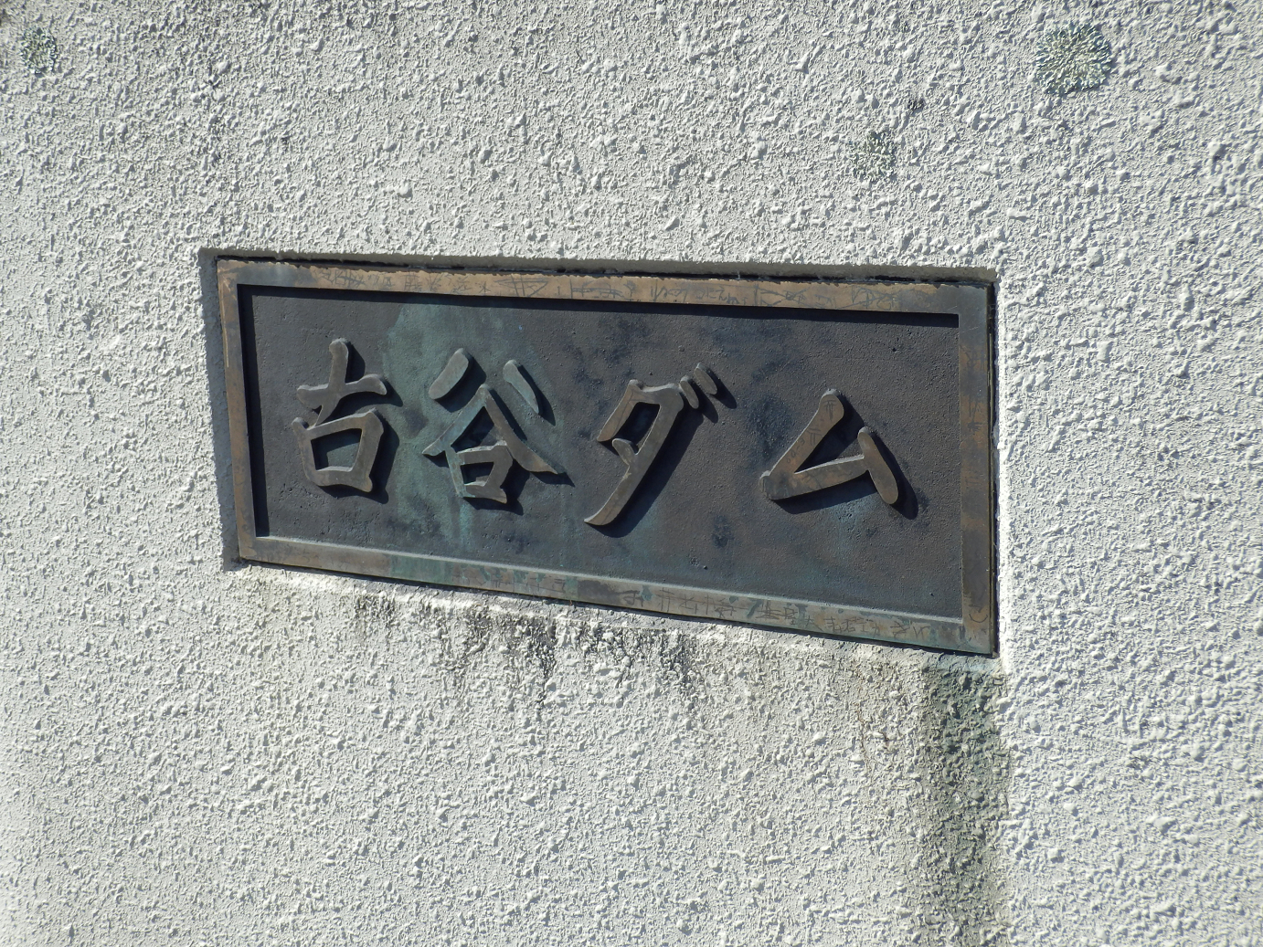 P4278009.jpg