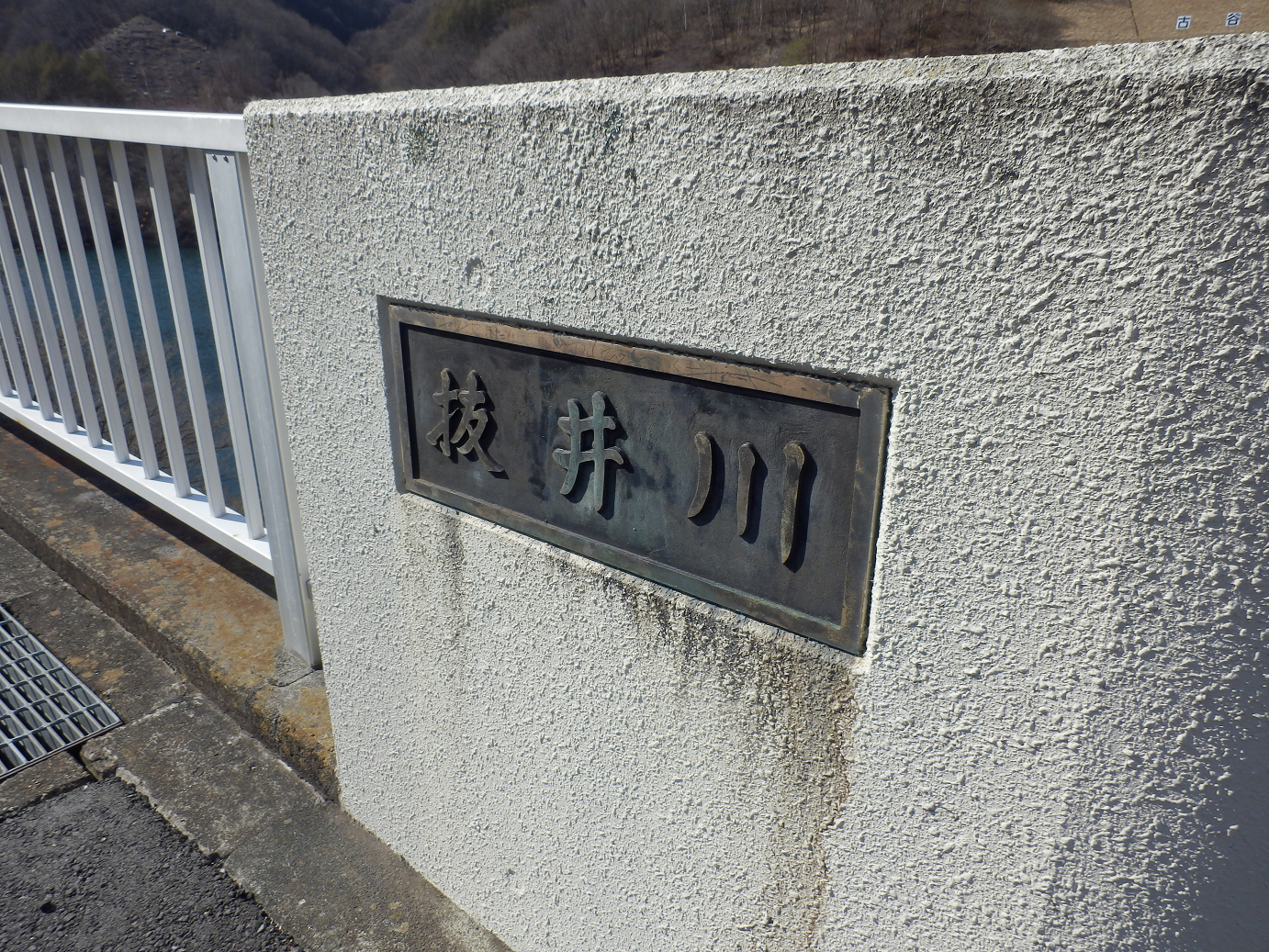 P4278012.jpg