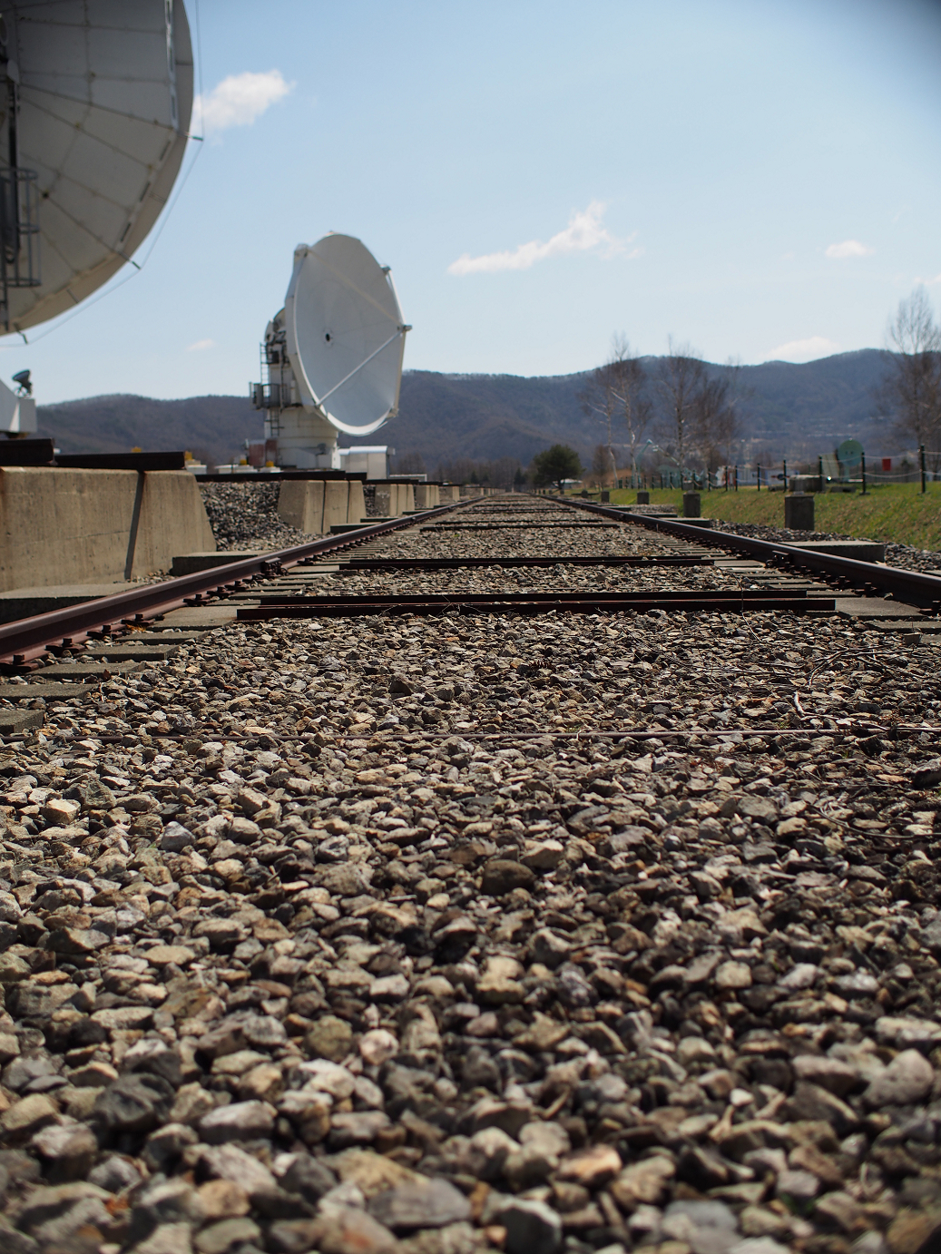 P4278029.jpg