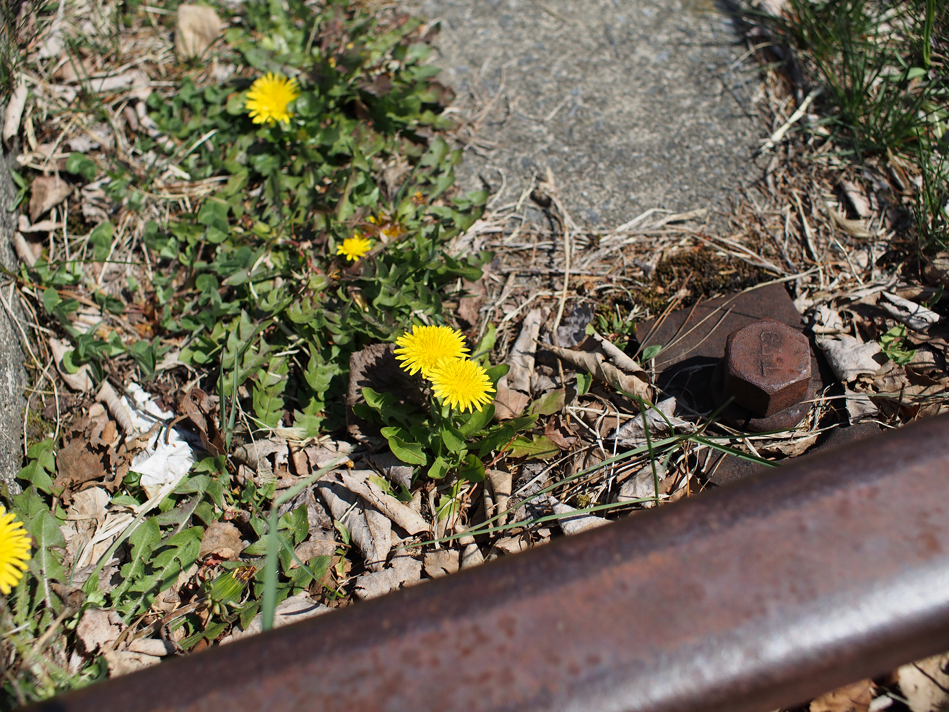 P4278031.jpg