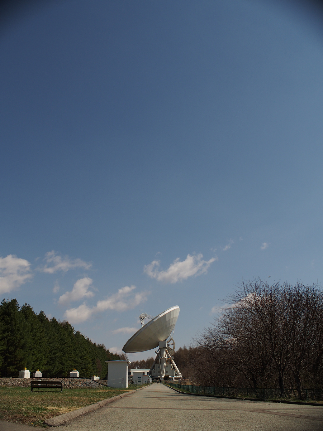 P4278041.jpg