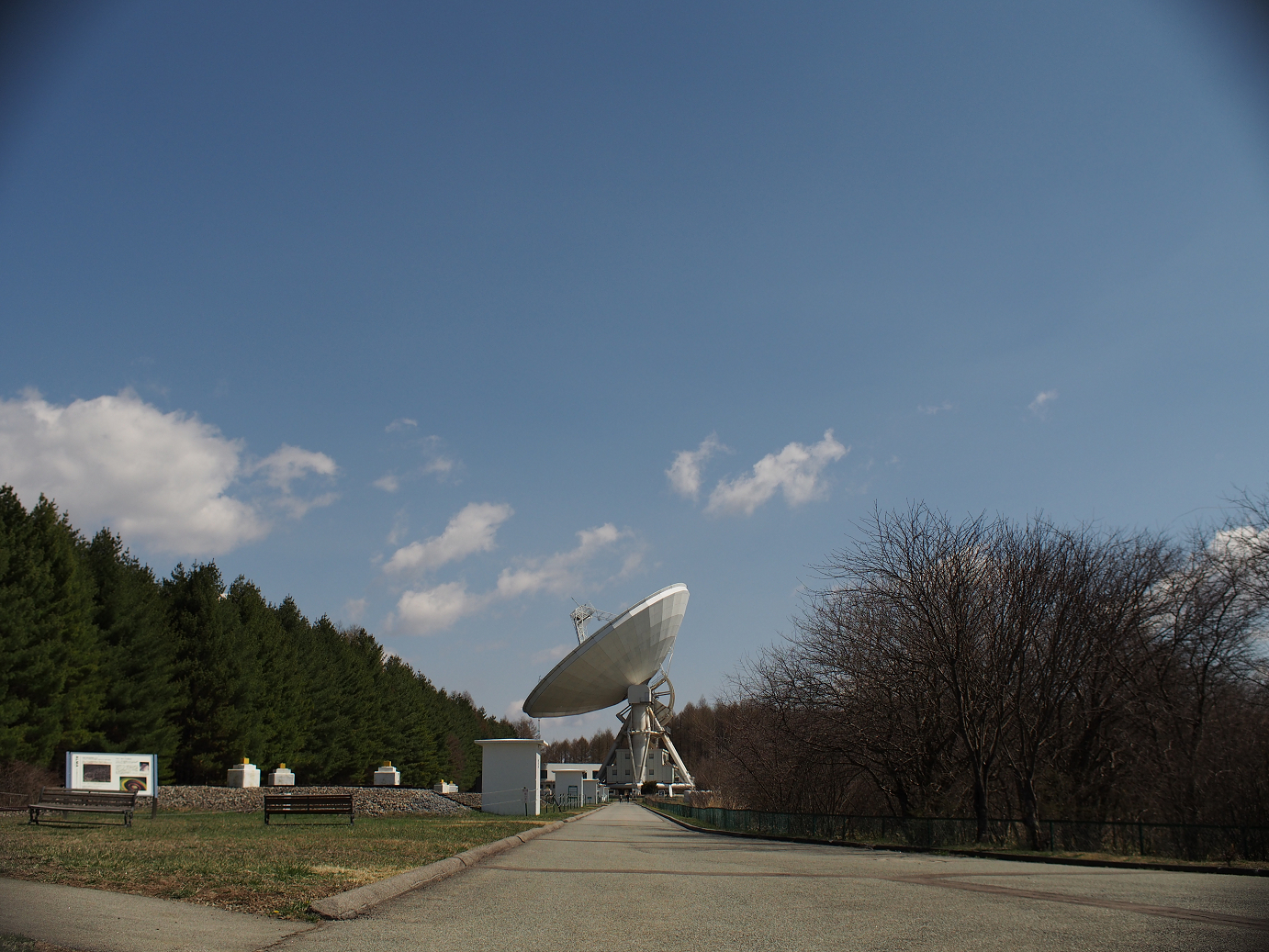 P4278042.jpg