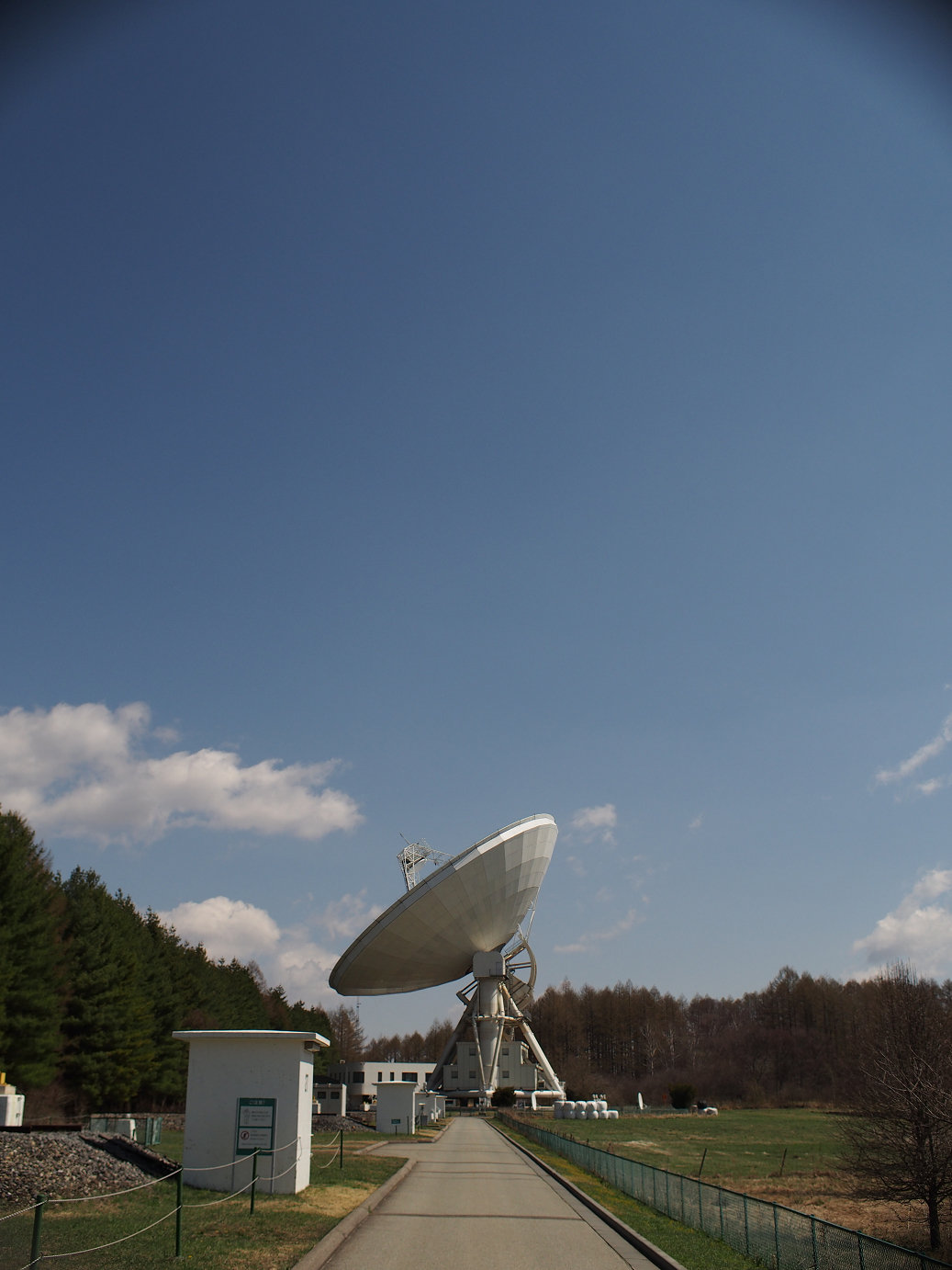 P4278044.jpg