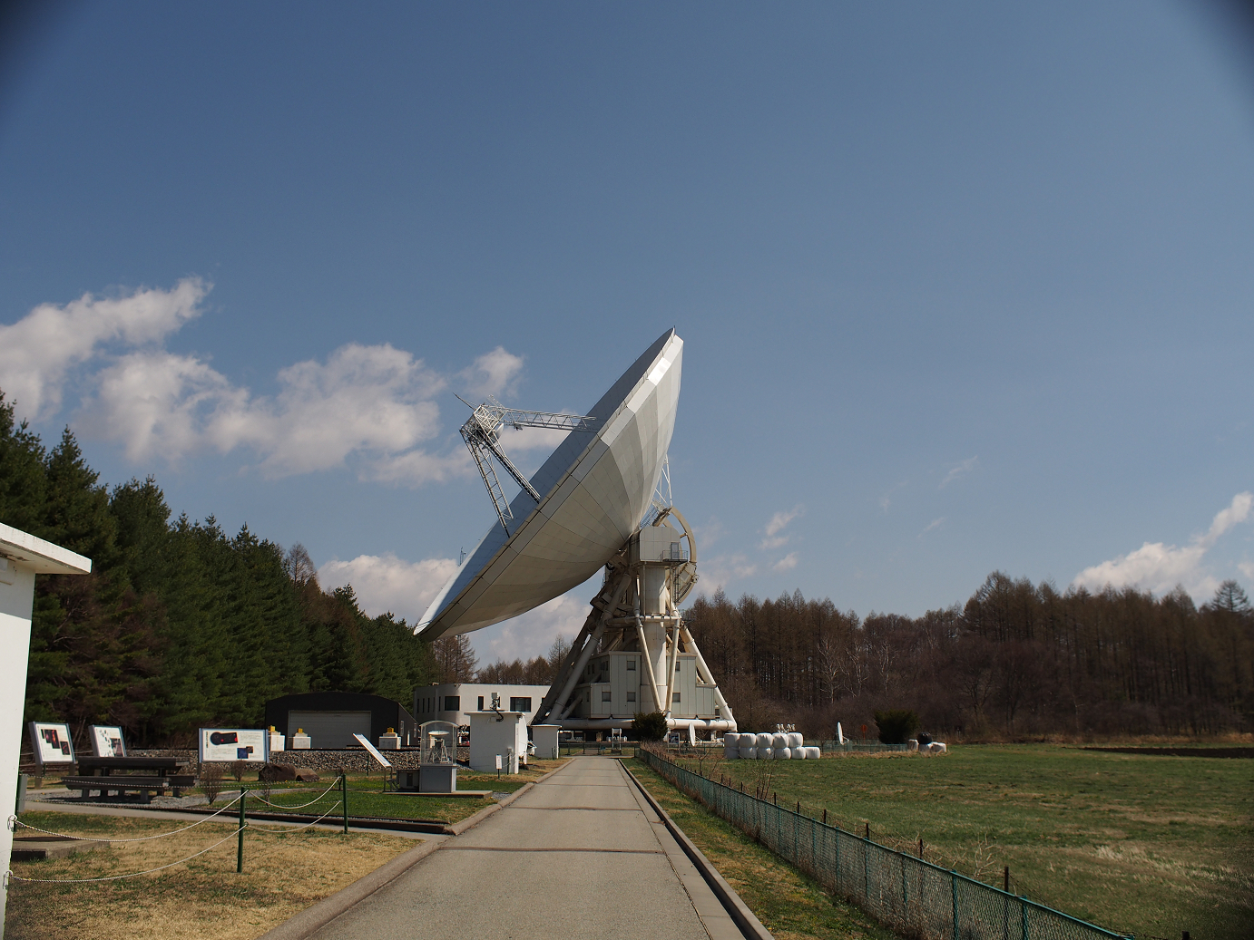 P4278045.jpg