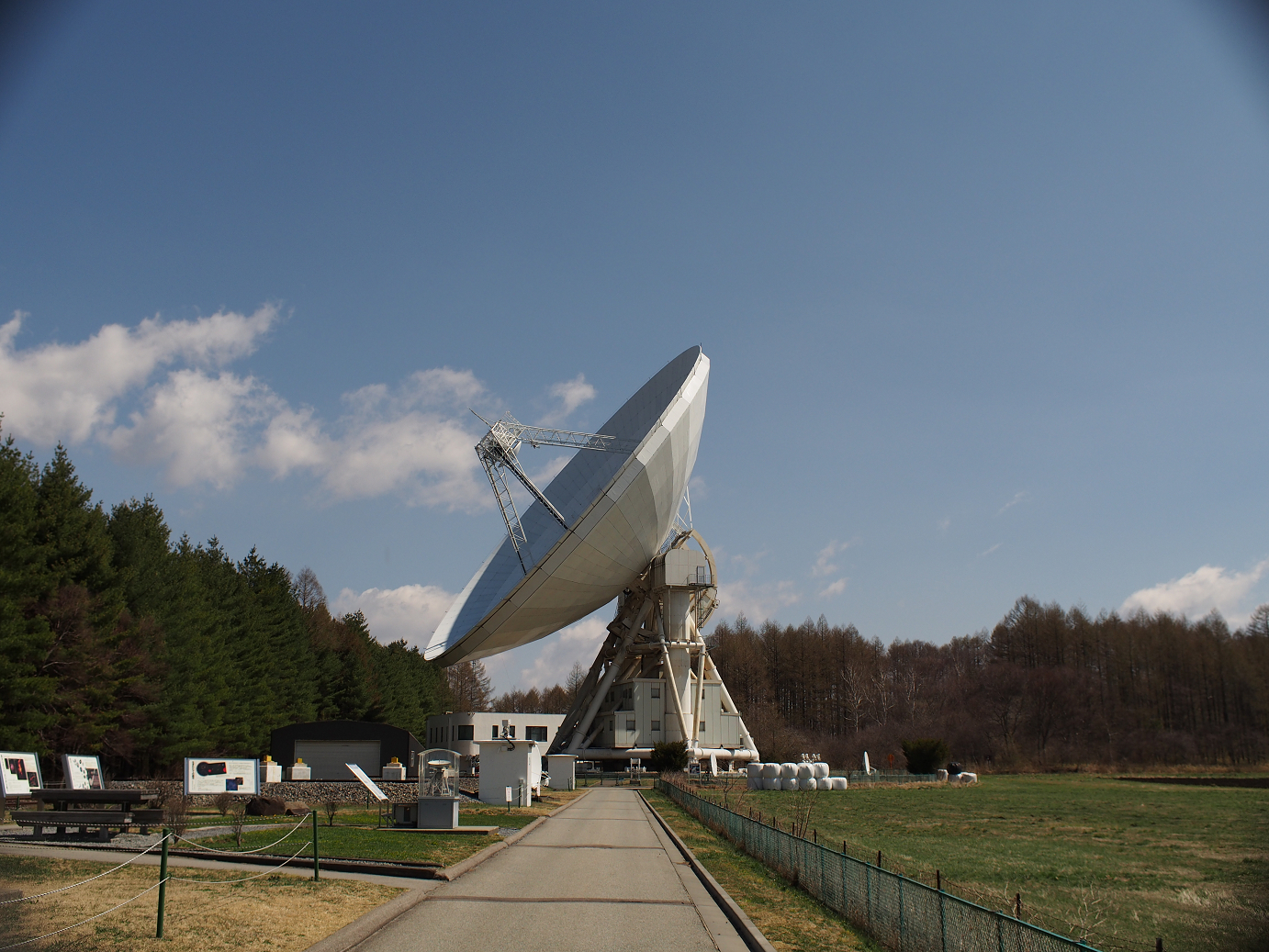 P4278046.jpg