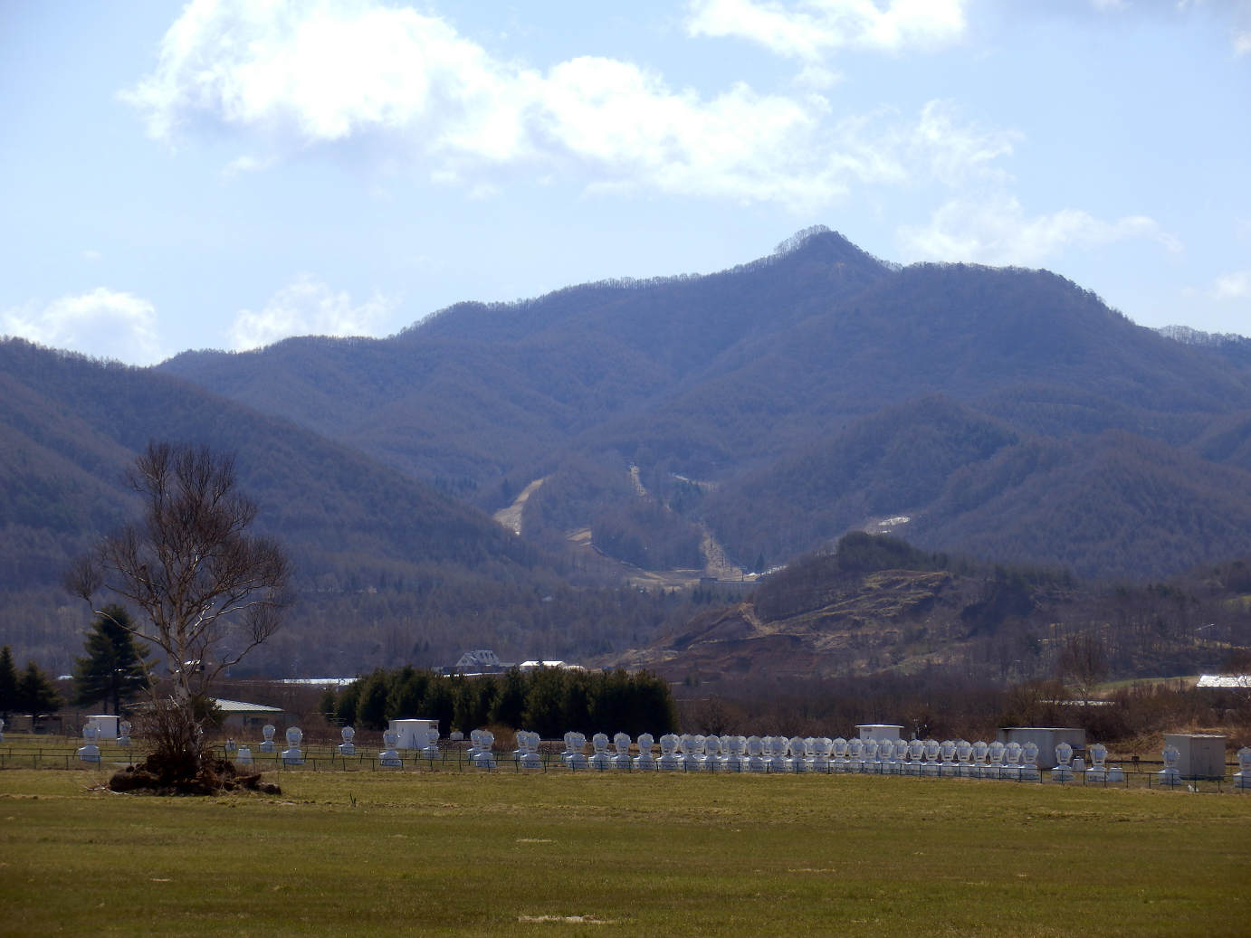P4278048.jpg
