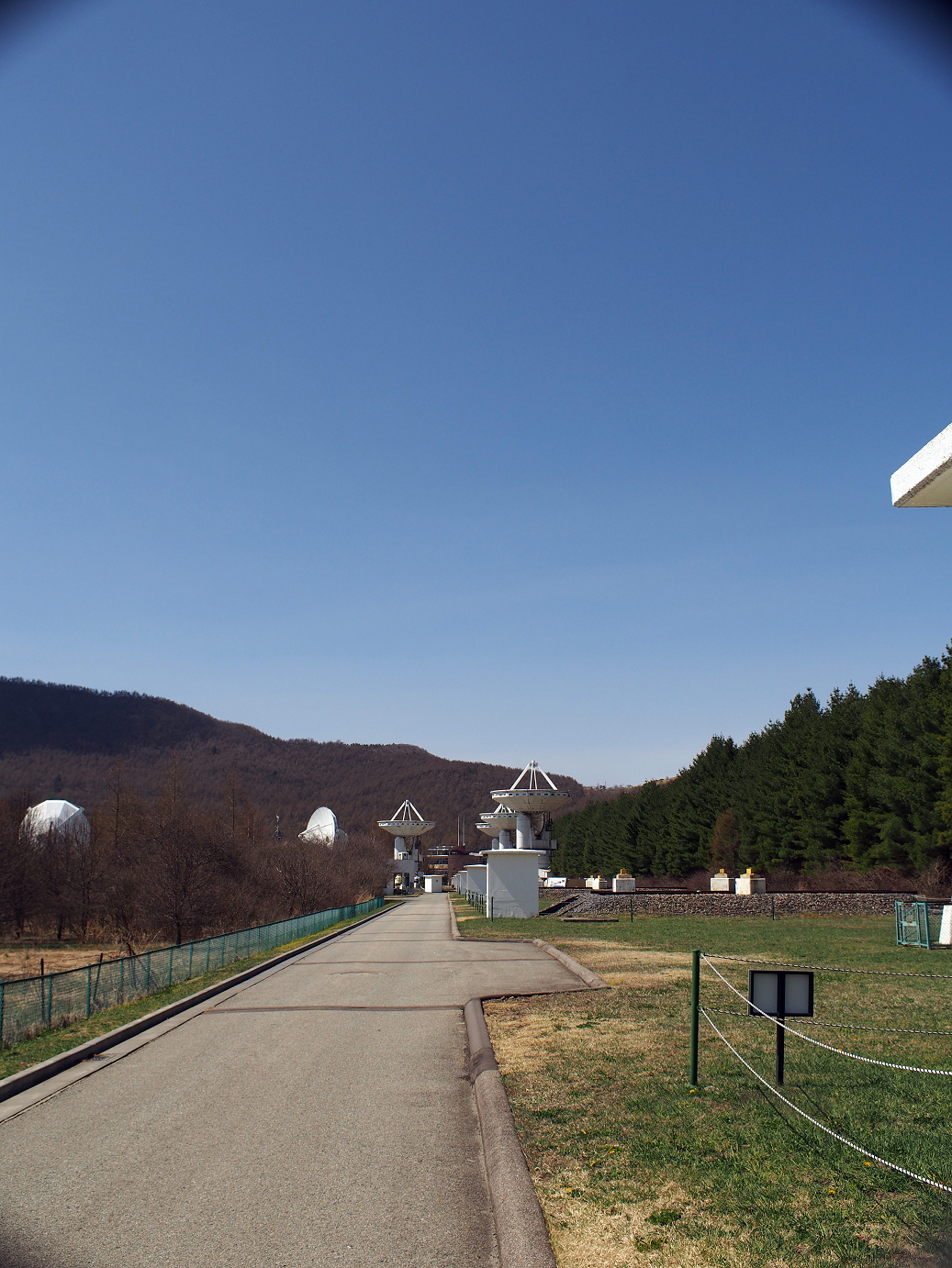 P4278057.jpg