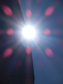 P4278076_thumb.png