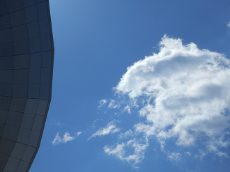 P4278078_thumb.png