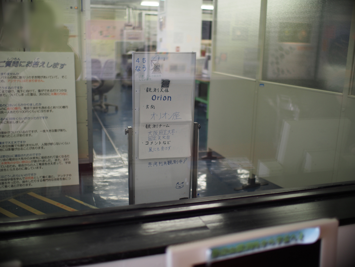 P4278086.jpg