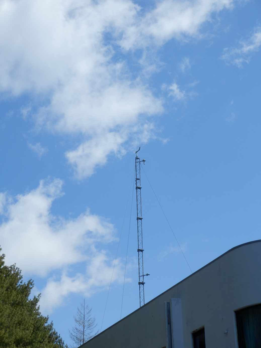 P4278094.jpg