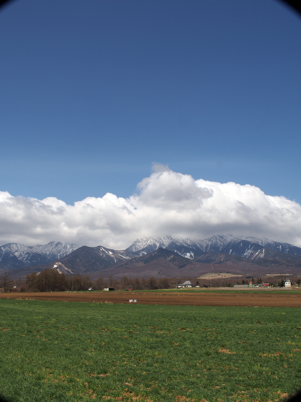P4278104.jpg