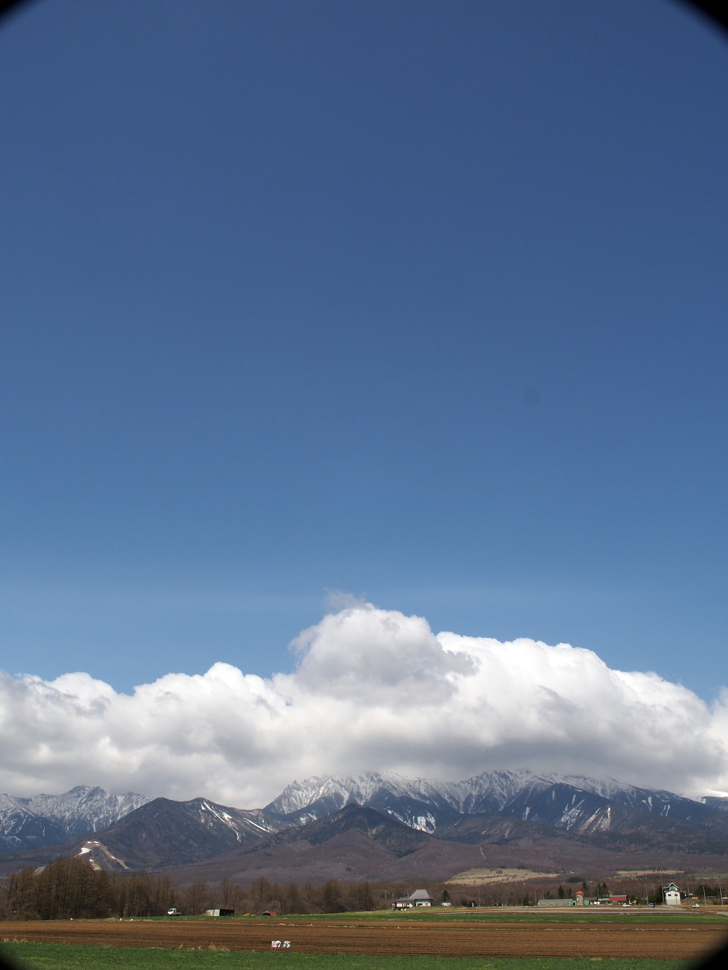 P4278105.jpg