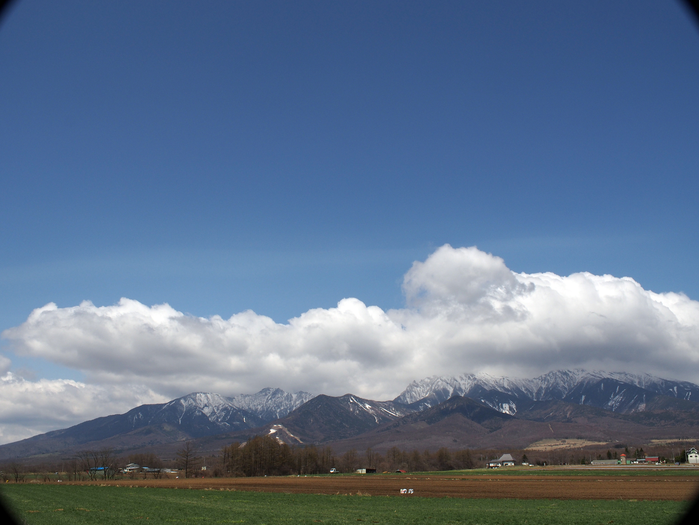 P4278106.jpg
