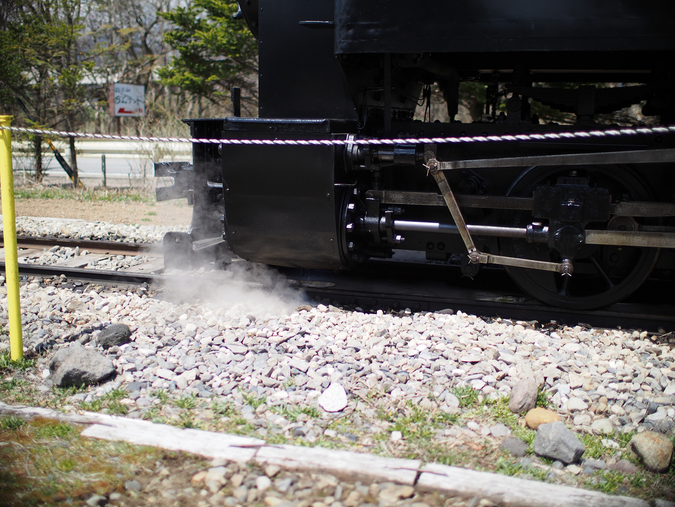 P4278152.jpg
