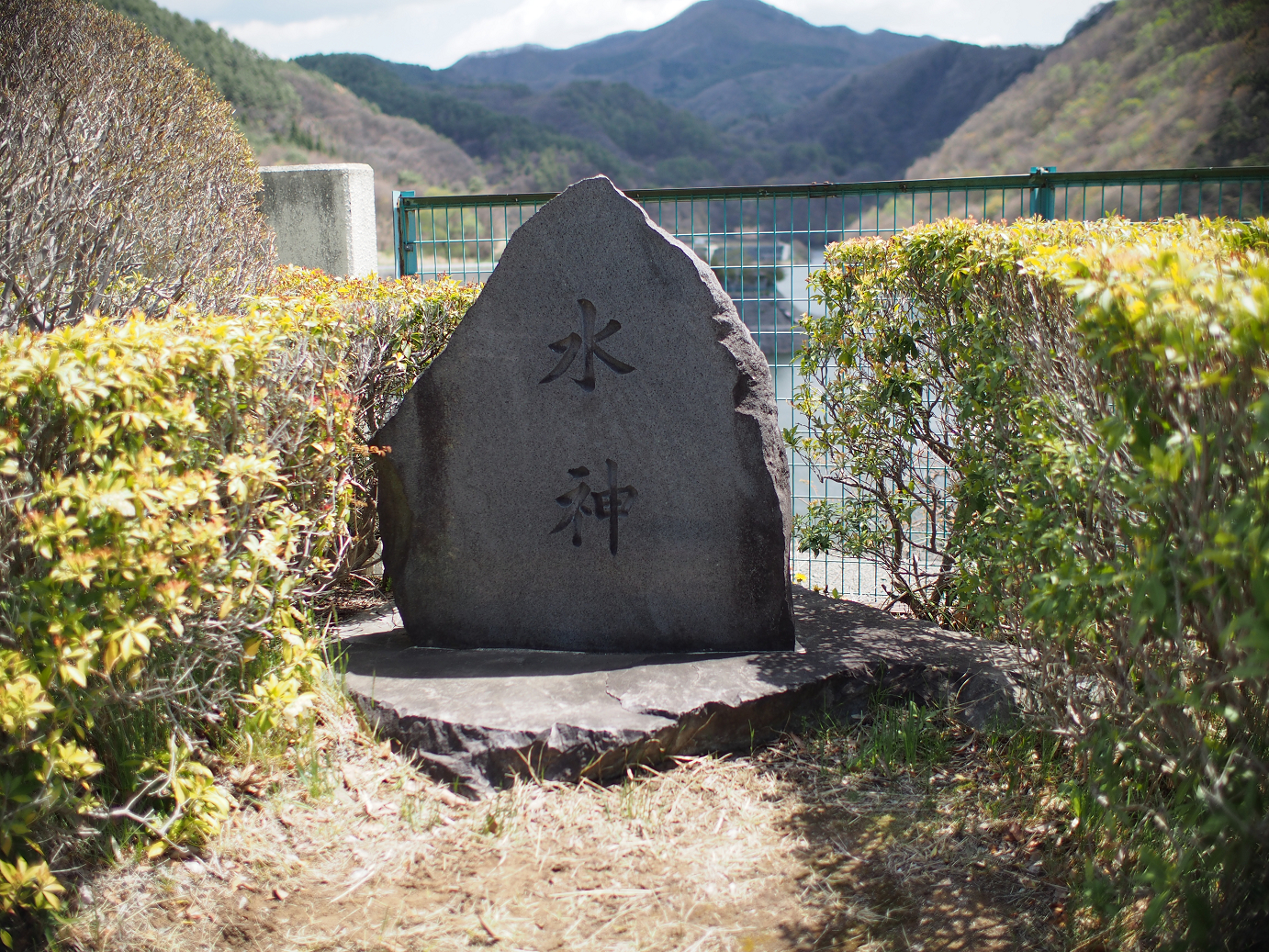 P4278165.jpg