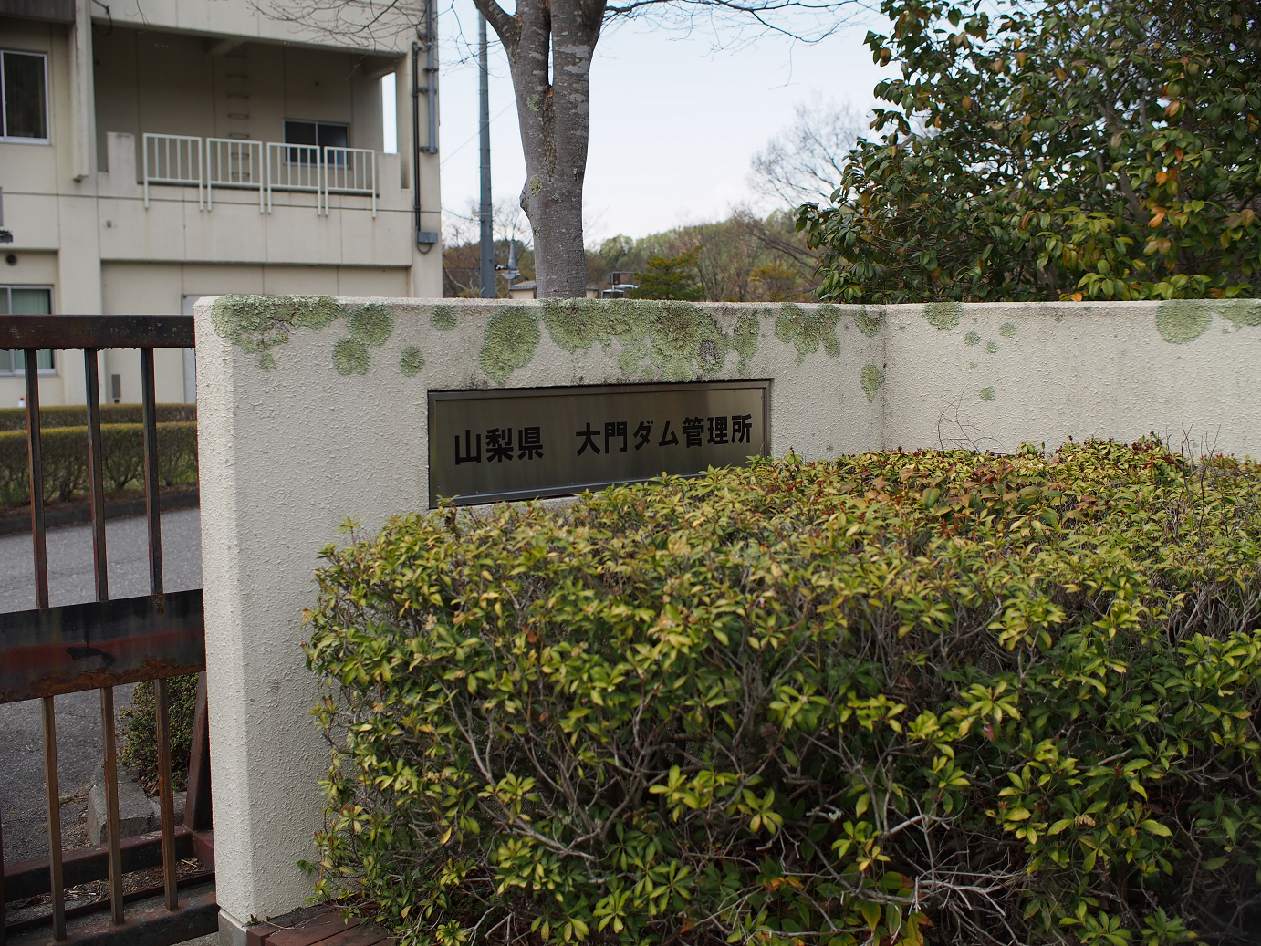P4278167.jpg