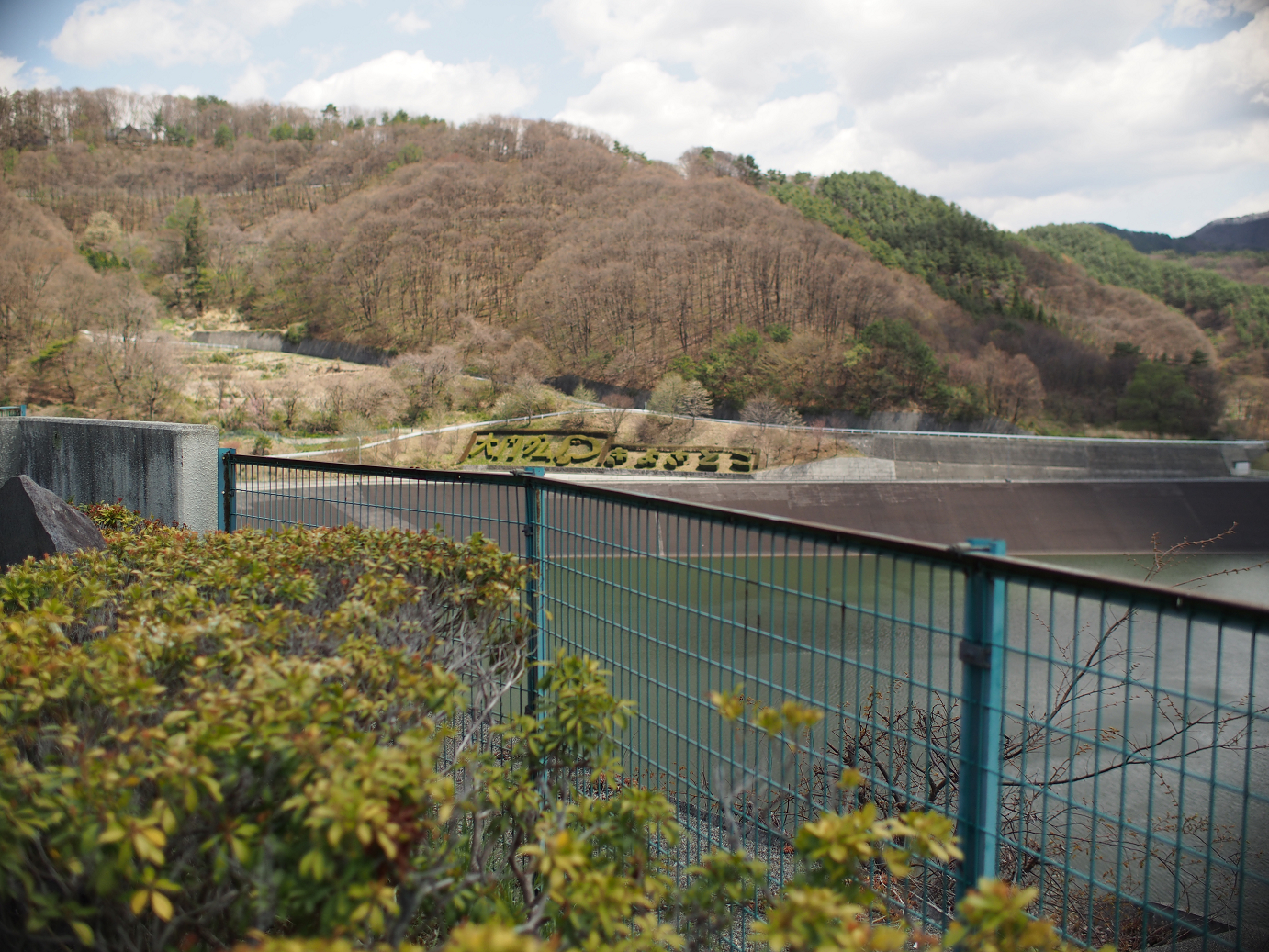 P4278168.jpg