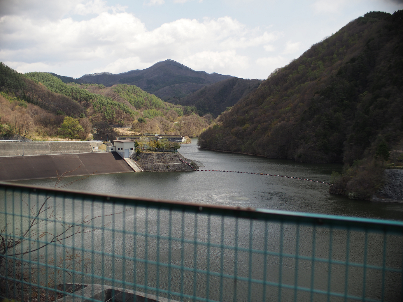 P4278169.jpg