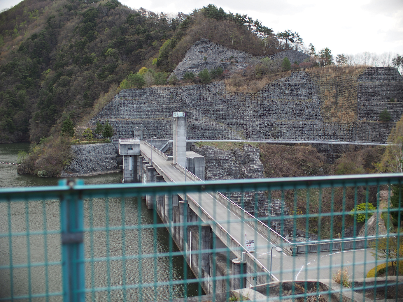 P4278170.jpg