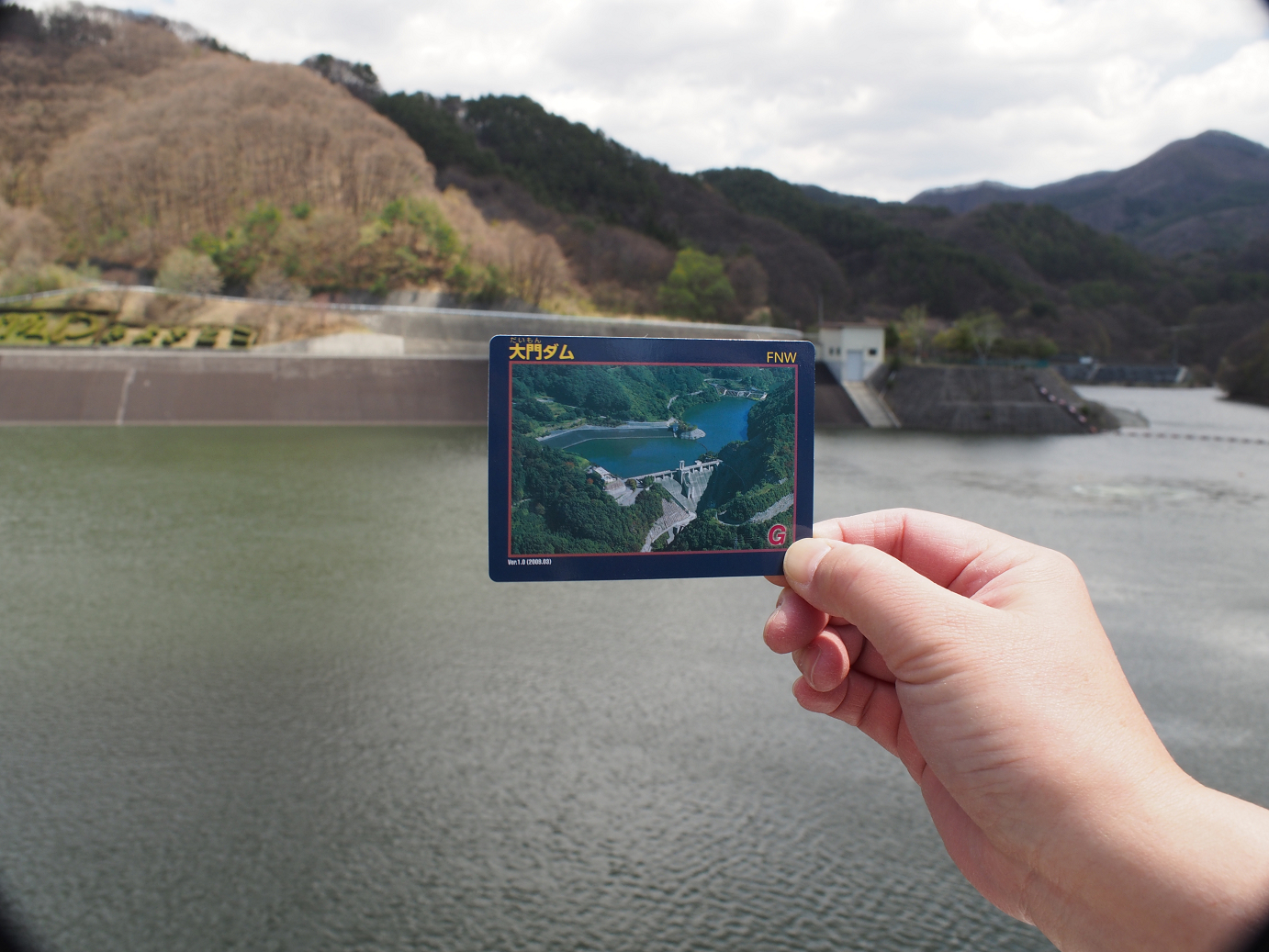 P4278172.jpg