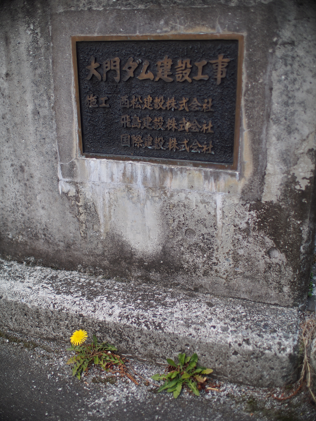 P4278175.jpg