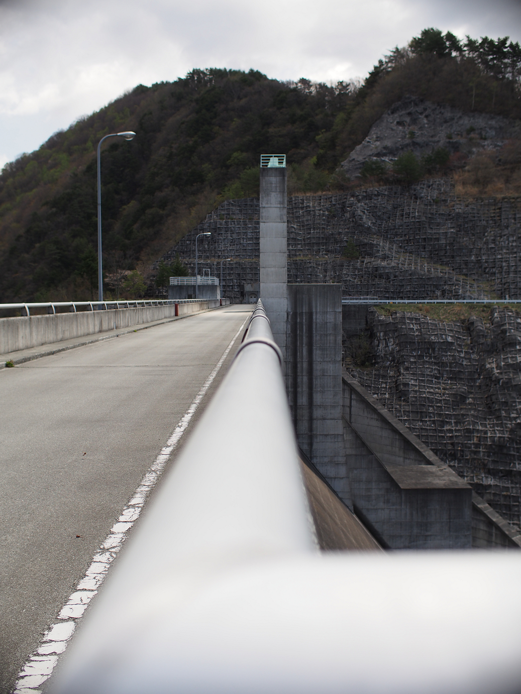 P4278177.jpg