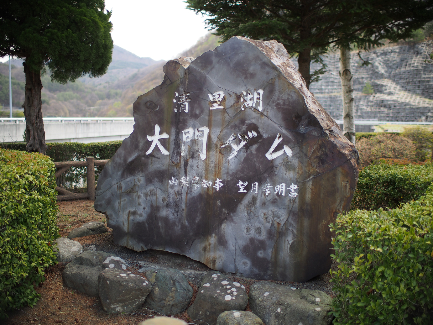 P4278178.jpg