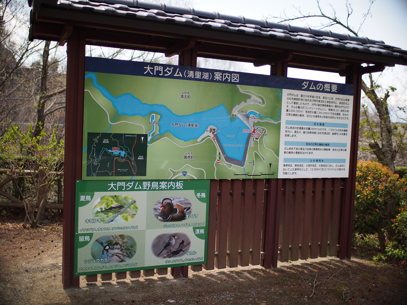 P4278179.jpg