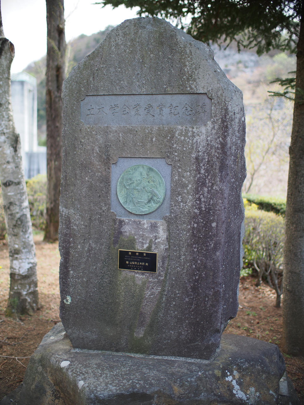 P4278180.jpg