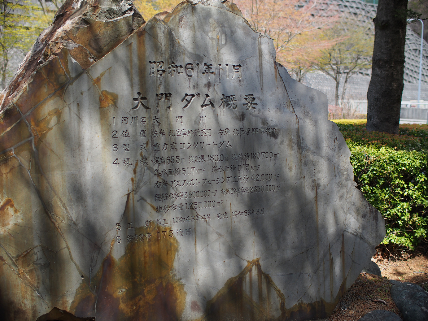 P4278182.jpg