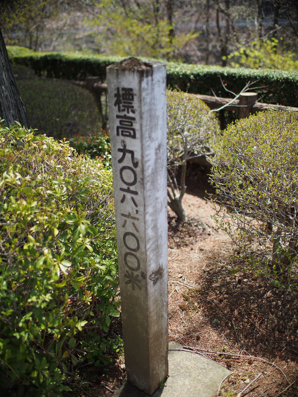 P4278184.jpg